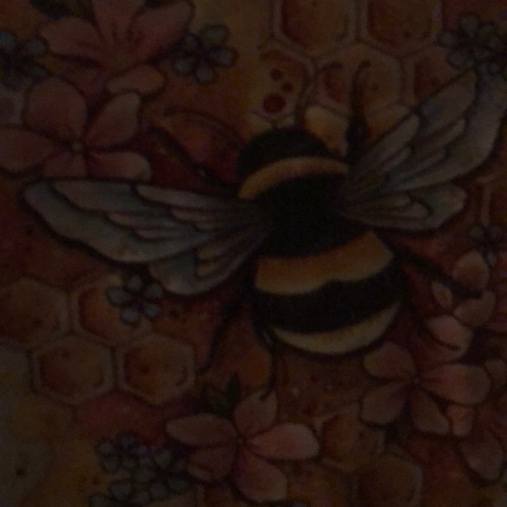 Meet your Posher, Jasper